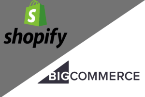 Shopify Development Company